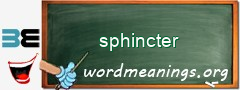 WordMeaning blackboard for sphincter